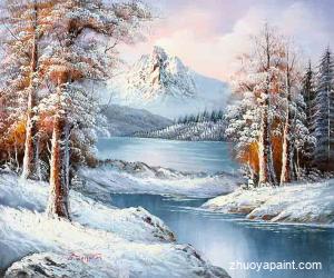 Snow Scenery