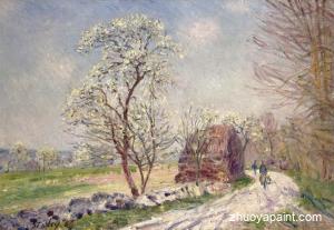Along the Woods in Spring