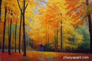 Among The Sierra Nevada Mountains, California