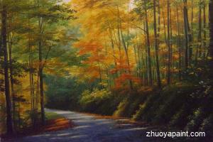 An Autumn Road