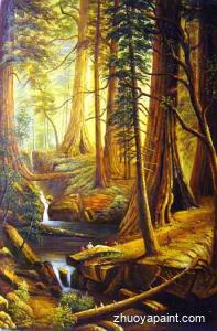 Giant Redwood Trees Of California 