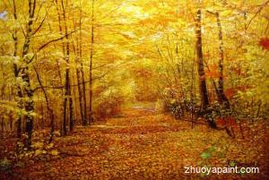 A Gorgeous Display Of Fall Foliage In The Forest