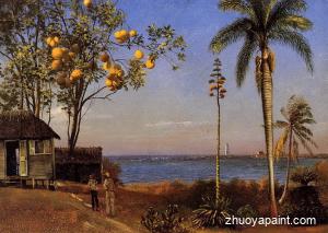 A View in the Bahamas