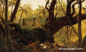  Rain Forest, Jamaica, West Indies 