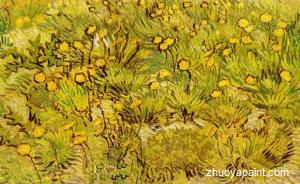 A Field of Yellow Flowers