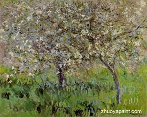 Apple Trees in Bloom at Giverny