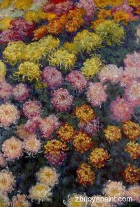 Bed of Chrysanthemums