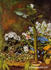 Arum and Conservatory Plants