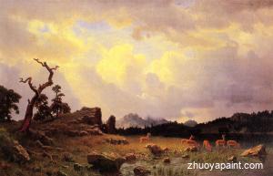 Thunderstorm in the Rocky Mountains