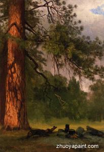 Yosemite Camp Kitchen