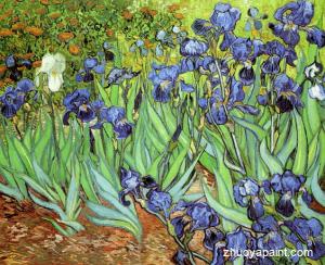 Irises