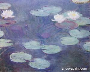 Pink Water-Lilies