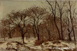 Chestnut Orchard in Winter