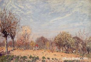 Apple Trees in Flower, Spring Morning