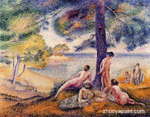 A Place in the Shade