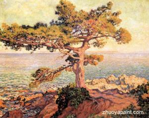 Pine by the Mediterranean Sea