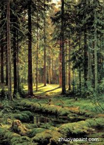 Coniferous forest, sunny day