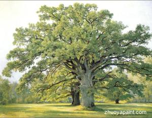 Oaks in the Old Petergof