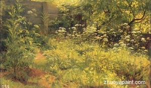 Aegopodium, Pargolovo (etude)