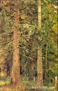 Firry forest (etude)