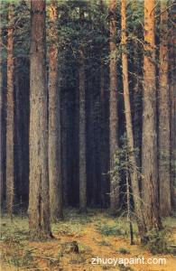 Forest Reserve, Pine Grove