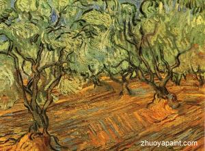 Olive Grove-Bright Blue Sky