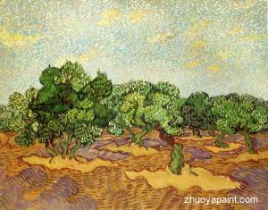 Olive Grove-Pale Blue Sky