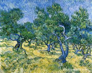 Olive Grove