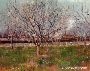 Orchard in Blossom