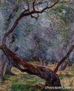 Study of Olive Trees