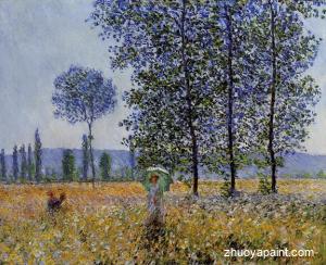 Sunlight Effect under the Poplars