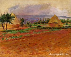 Field and Haystacks