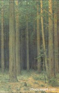 Reserve, pine forest