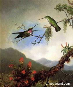 Amethyst Hummingbirds