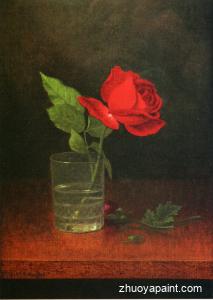 A Single Rose in a Glass