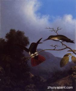 Black-Throated Mango