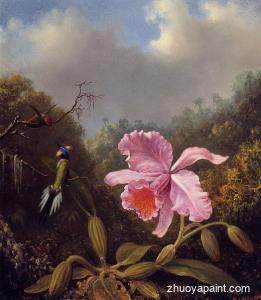 Fighting Hummingbirds with Pink Orchid