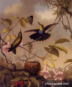 Fort-Tailed Woodnymph