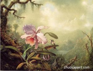 Heliodore&acute;s Woodstar and a Pink Orchid