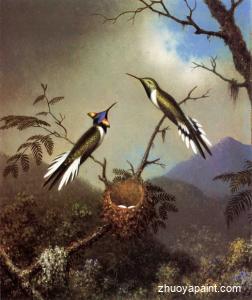 Hummingbirds at Their Nest - Sun Gems