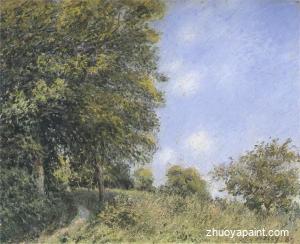 July Afternoon near the Forest