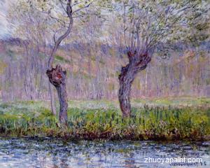 Willows in Springtime