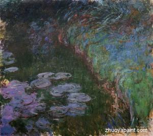Water-Lilies
