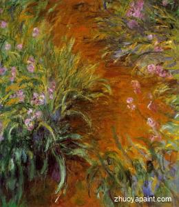 The Path through the Irises