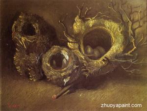 Still Life with Three Birds&acute; Nests