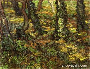 Tree Trunks with Ivy