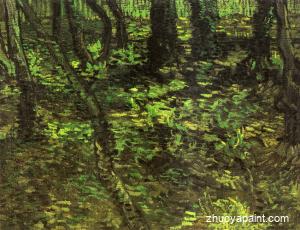 Undergrowth with Ivy