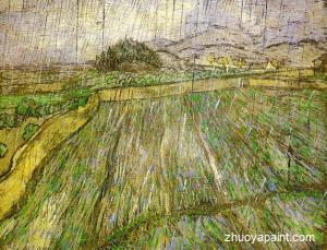 Wheat Field in Rain