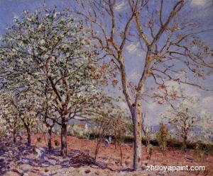 Plum and Walnut Trees in Spring