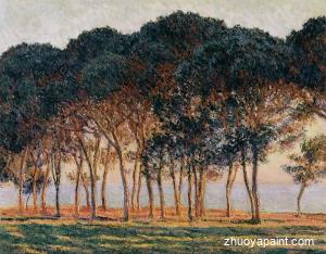 Under the Pine Trees at the End of the Day